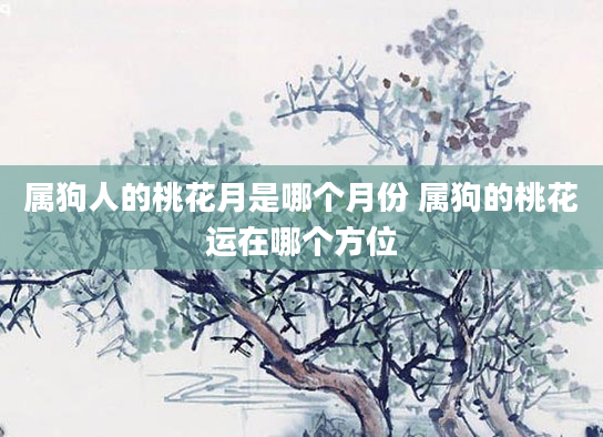 属狗人的桃花月是哪个月份 属狗的桃花运在哪个方位