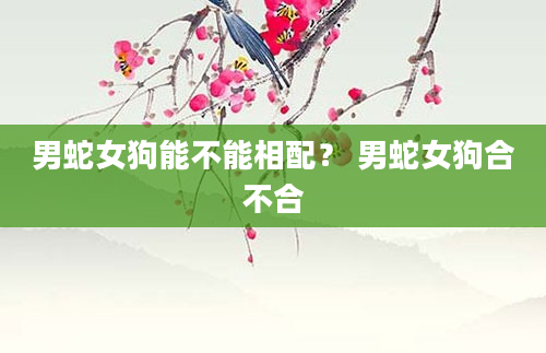 男蛇女狗能不能相配？ 男蛇女狗合不合
