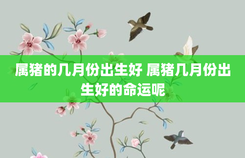 属猪的几月份出生好 属猪几月份出生好的命运呢