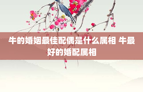 牛的婚姻最佳配偶是什么属相 牛最好的婚配属相