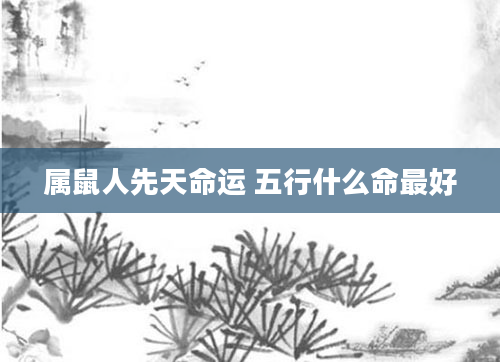属鼠人先天命运 五行什么命最好