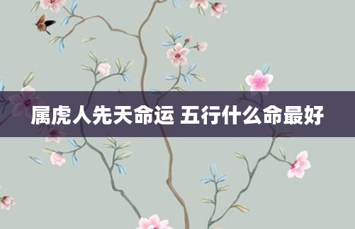 属虎人先天命运 五行什么命最好