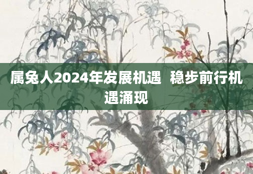 属兔人2024年发展机遇  稳步前行机遇涌现
