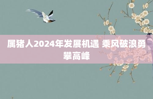 属猪人2024年发展机遇 乘风破浪勇攀高峰