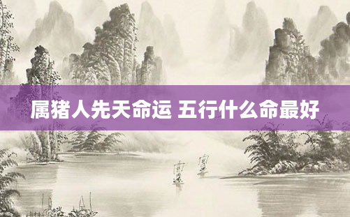 属猪人先天命运 五行什么命最好