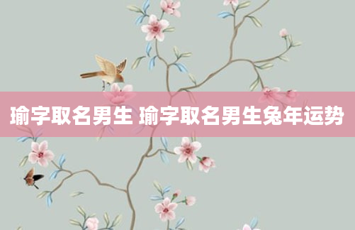 瑜字取名男生 瑜字取名男生兔年运势