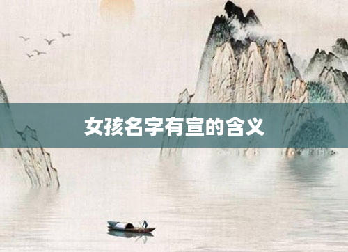 女孩名字有宣的含义