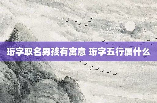 珩字取名男孩有寓意 珩字五行属什么