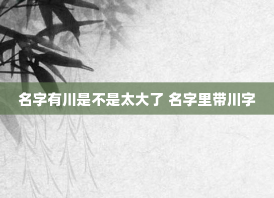 名字有川是不是太大了 名字里带川字