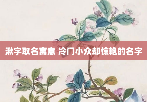 湫字取名寓意 冷门小众却惊艳的名字
