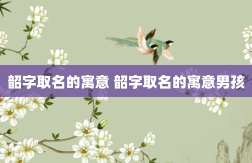 韶字取名的寓意 韶字取名的寓意男孩