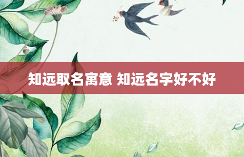 知远取名寓意 知远名字好不好