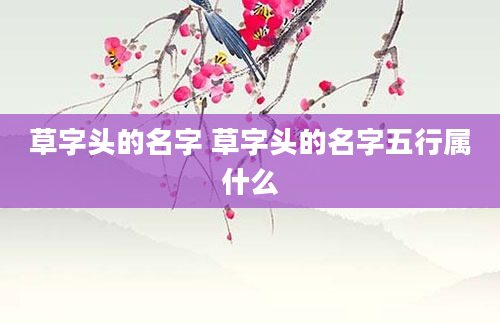 草字头的名字 草字头的名字五行属什么