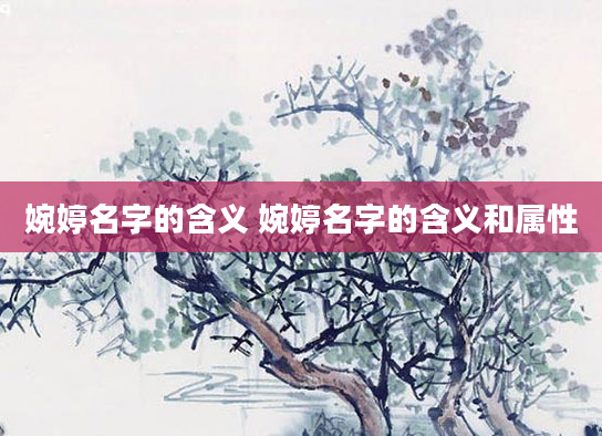 婉婷名字的含义 婉婷名字的含义和属性