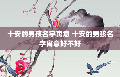 十安的男孩名字寓意 十安的男孩名字寓意好不好