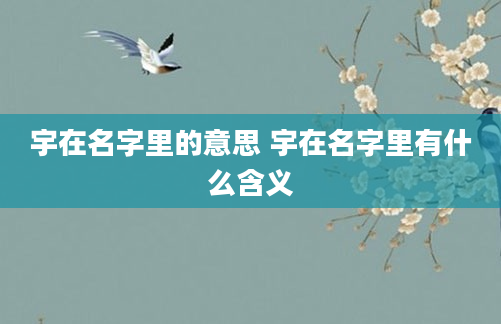 宇在名字里的意思 宇在名字里有什么含义