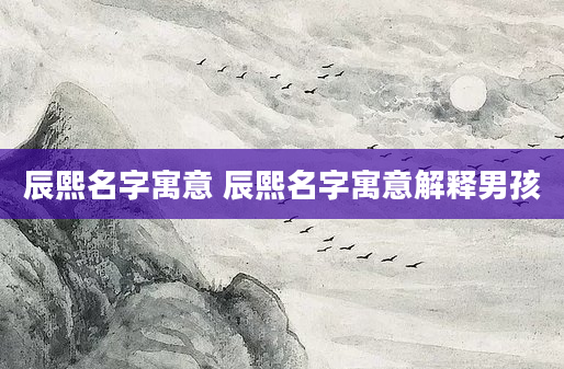 辰熙名字寓意 辰熙名字寓意解释男孩