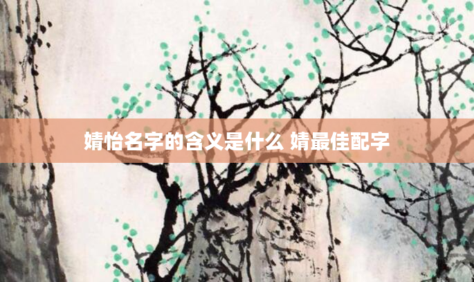 婧怡名字的含义是什么 婧最佳配字