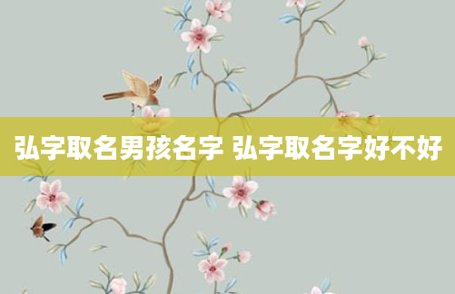 弘字取名男孩名字 弘字取名字好不好