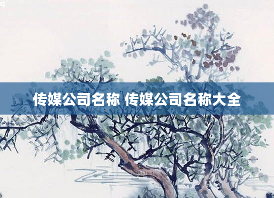 传媒公司名称 传媒公司名称大全