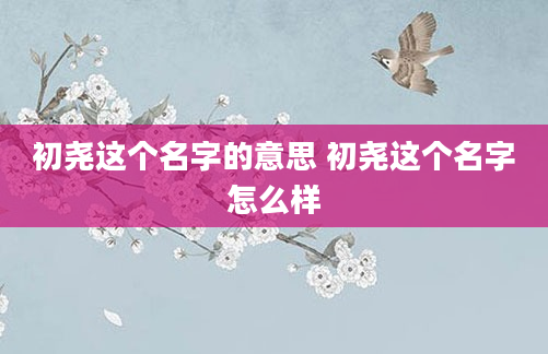 初尧这个名字的意思 初尧这个名字怎么样