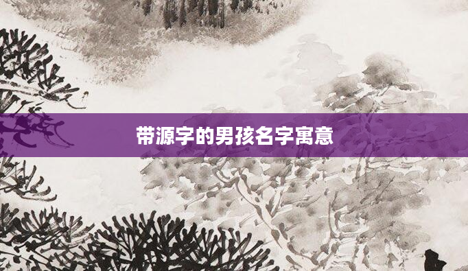 带源字的男孩名字寓意