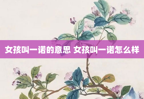 女孩叫一诺的意思 女孩叫一诺怎么样