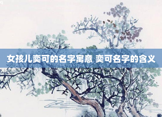 女孩儿奕可的名字寓意 奕可名字的含义
