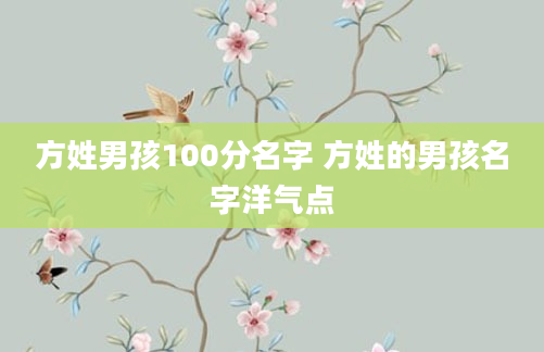方姓男孩100分名字 方姓的男孩名字洋气点