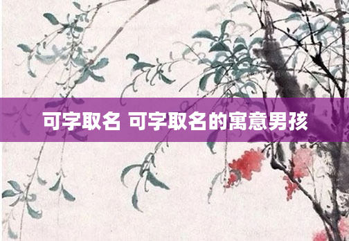 可字取名 可字取名的寓意男孩