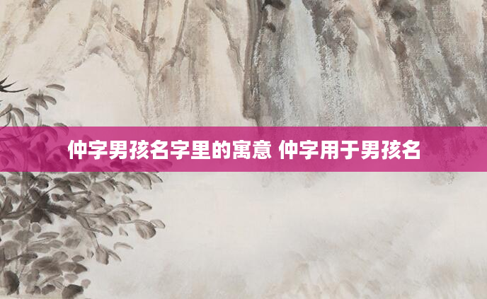 仲字男孩名字里的寓意 仲字用于男孩名