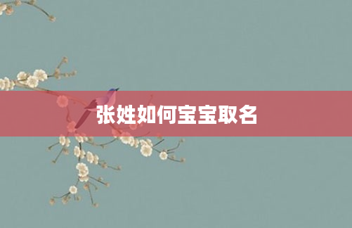 张姓如何宝宝取名