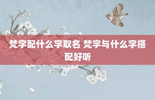 梵字配什么字取名 梵字与什么字搭配好听
