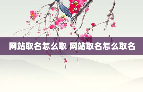 网站取名怎么取 网站取名怎么取名