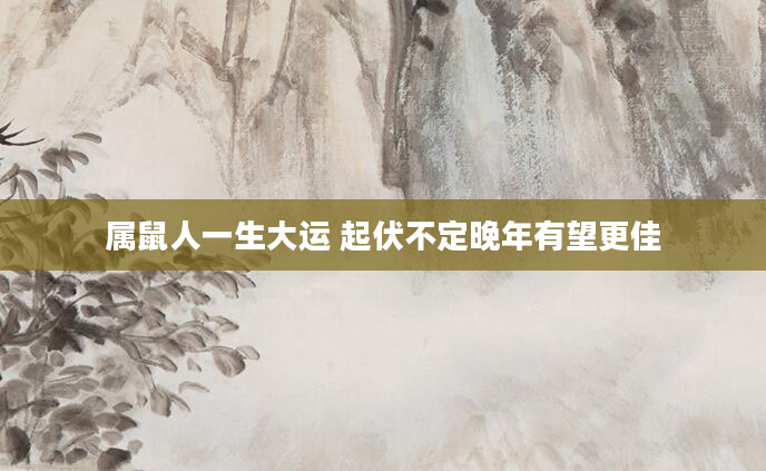 属鼠人一生大运 起伏不定晚年有望更佳