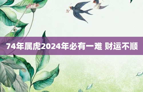 74年属虎2024年必有一难 财运不顺