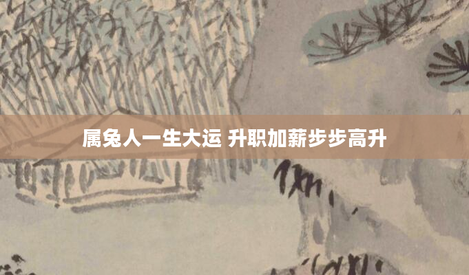 属兔人一生大运 升职加薪步步高升