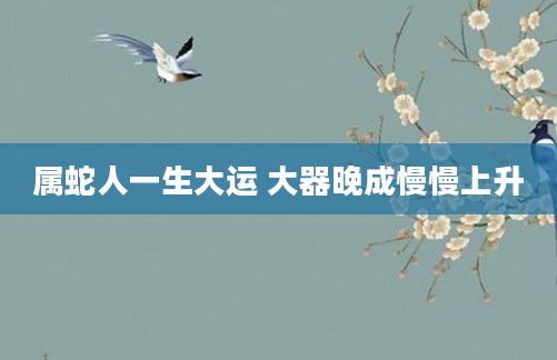 属蛇人一生大运 大器晚成慢慢上升
