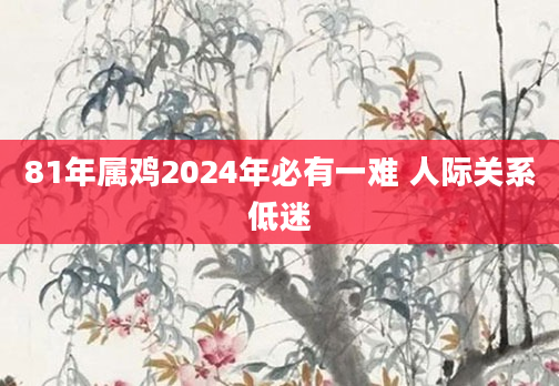 81年属鸡2024年必有一难 人际关系低迷