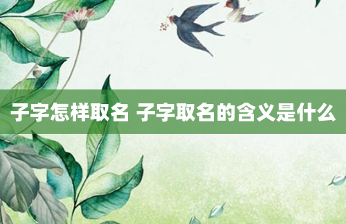 子字怎样取名 子字取名的含义是什么
