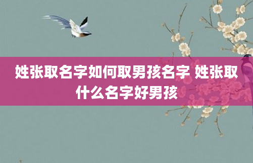 姓张取名字如何取男孩名字 姓张取什么名字好男孩