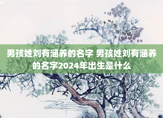男孩姓刘有涵养的名字 男孩姓刘有涵养的名字2024年出生是什么