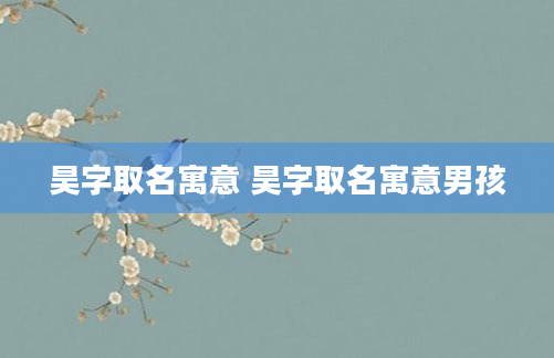 昊字取名寓意 昊字取名寓意男孩
