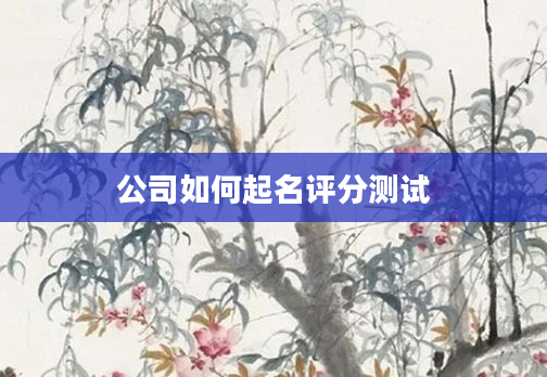 公司如何起名评分测试