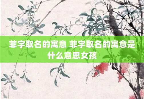 菲字取名的寓意 菲字取名的寓意是什么意思女孩