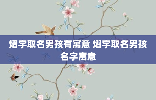 熠字取名男孩有寓意 熠字取名男孩名字寓意