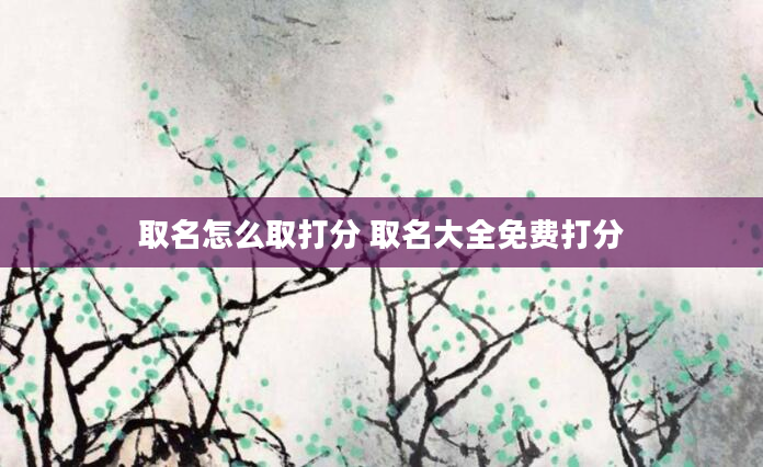 取名怎么取打分 取名大全免费打分