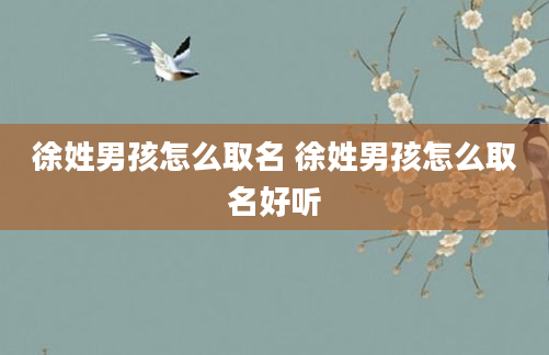 徐姓男孩怎么取名 徐姓男孩怎么取名好听