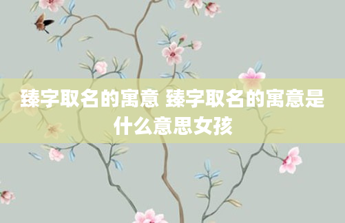 臻字取名的寓意 臻字取名的寓意是什么意思女孩