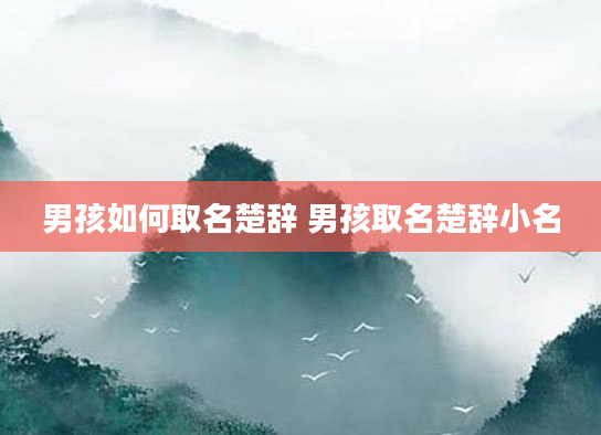 男孩如何取名楚辞 男孩取名楚辞小名